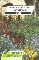 Graines diverses FLEURS VIVACES POUR ROCAILLE