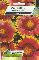 Graines diverses GAILLARDE VIVACE VARIEE