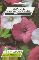 Graines diverses LAVATERE GRANDES FLEURS VARIEES