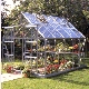 Magnum 108 verre surface 8.30m² Lams
