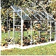 Popular 106 polycarbonate surface 6.20m²