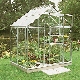 Popular 46 polycarbonate surface 2.50m²