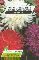 Graines diverses REINE MARGUERITE PLUME D'AUTRUCHE VARIEE