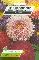 Graines diverses REINE MARGUERITE SUPER PRINCESSE VARIEE
