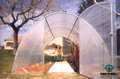 tunnel plastique RICHEL module 4.50mx4.50m 1 porte
