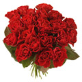 60 Roses
