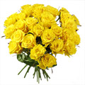 Les Roses